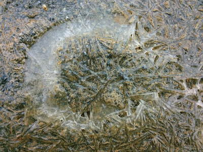 Frozen Hoofprint 1.jpg