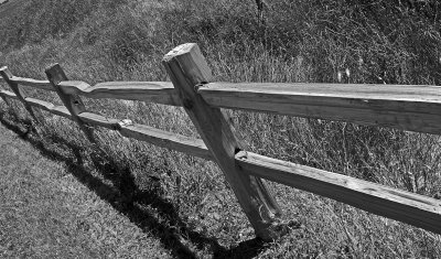 Rail Fence.jpg