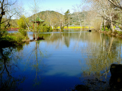 Winery Pond.jpg