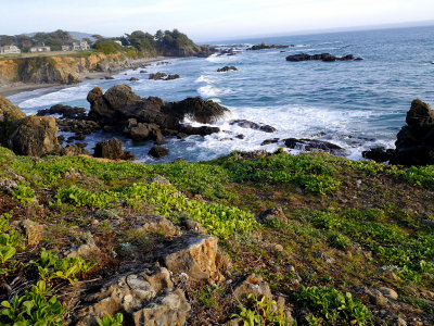 Rocky Coast 4.jpg