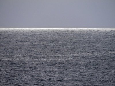 Ocean Horizon.jpg