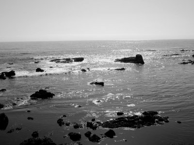 Sonoma and Mendocino Trip 2014