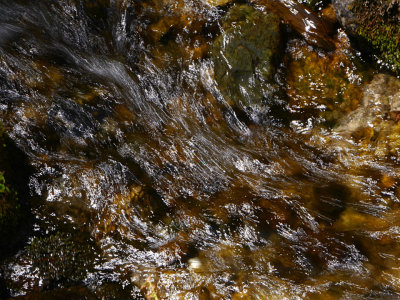 Coldwater Creek 4.jpg