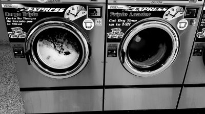 Washers Mono.jpg