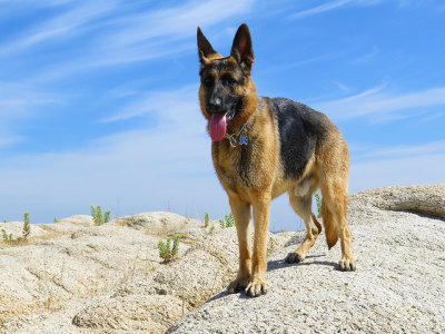 Carson Posing on the Rocks.jpg