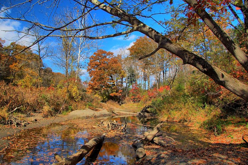 Normanskill - HDR<BR>October 17, 2013