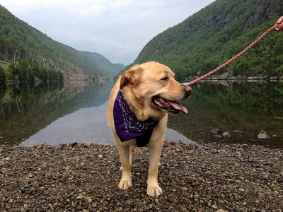 Glinda in the AdirondacksJune 22, 2013