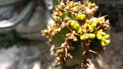 20140606_135727.jpg