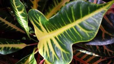 20140606_140004.jpg