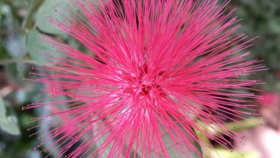 20140606_141311.jpg