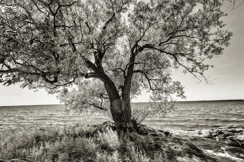 AU BORD DU LAC