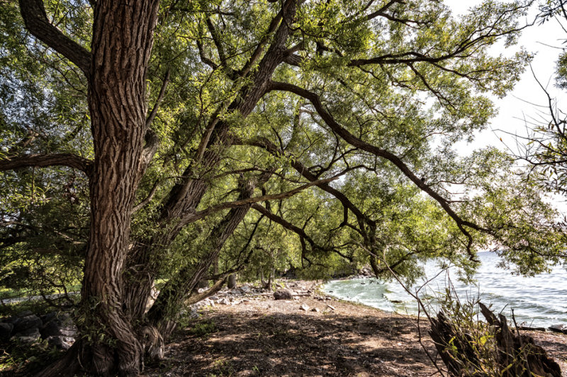 AU BORD DU LAC