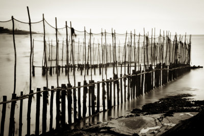 PCHE  L'ANGUILLE  LA POINTE AUX ORIGNAUX