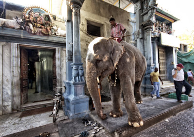 AU TEMPLE DE PONDICHERY