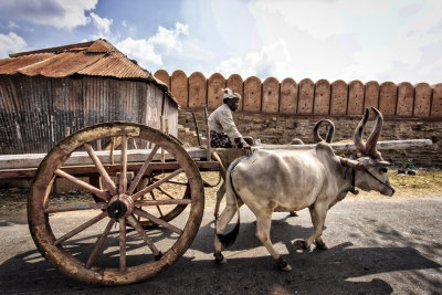 SUR LA ROUTE DE KARAIKUDI