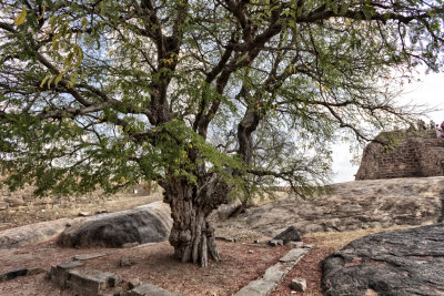 SUR LA ROUTE DE KARAIKUDI