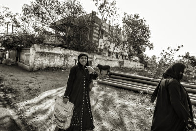 ELLES REVIENNENT DU MARCH DE KARAIKUDI ?