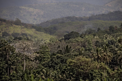 UNE NATURE EXUBÉRANTE