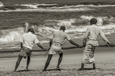 LA PÊCHE