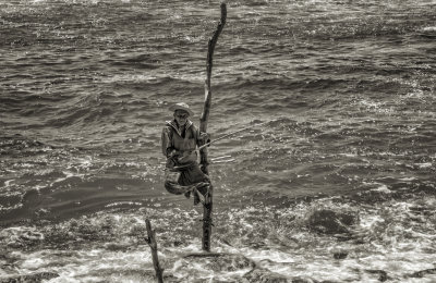 LA PÊCHE