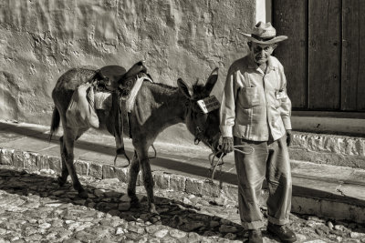 L'HOMME AU BOURICOT