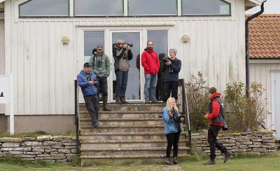 Ottenby ringing staff