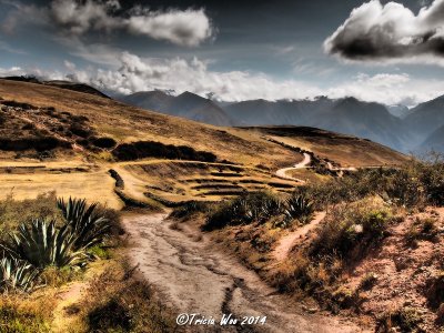 Winding Road in the Andes