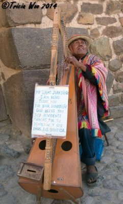Juan Diego, Blind Harpist