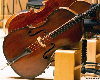 Cello - Toronto Symphony Orchestra