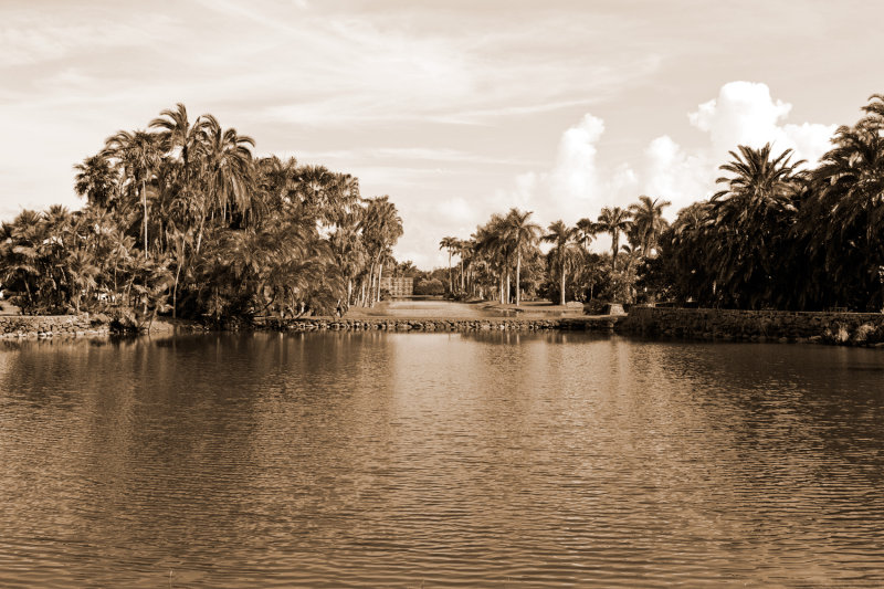 Fairchild tropical gardens