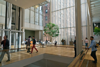 JP Morgan Library