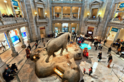 Natural History Museum