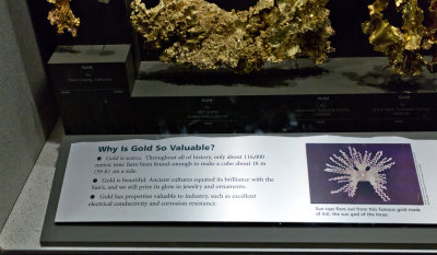 Natural history museum