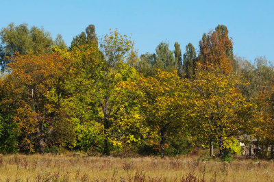 DSCF9139.jpg