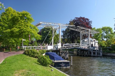 2013-06-05_11_Vreeland.jpg