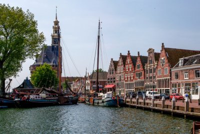 2013-06-06_19_HornR.jpg
