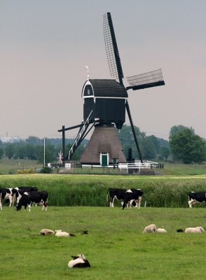 2013-06-12_08_StreefkerkR.jpg