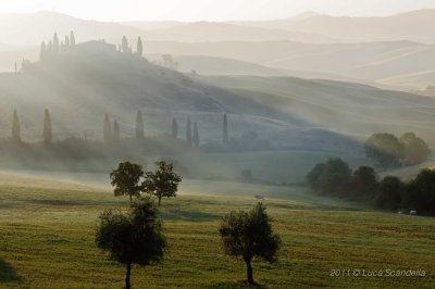 Terre di Siena 2011