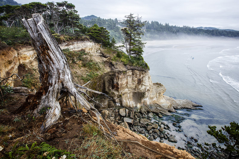 Oregon Coast