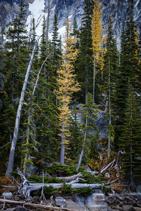 Enchantment Lakes Trail