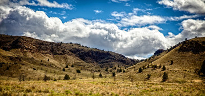 Spring Basin Wilderness Trail