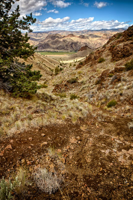 Spring Basin Wilderness Trail