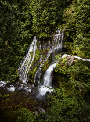 Panther Creek Falls