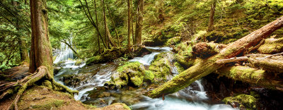 Panther Creek Falls