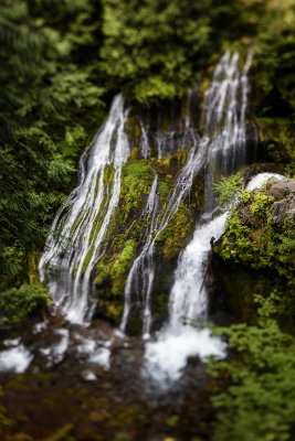 Panther Creek Falls