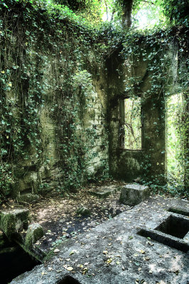Bordeaux - Ghost Town