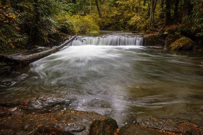 Whatcom Falls