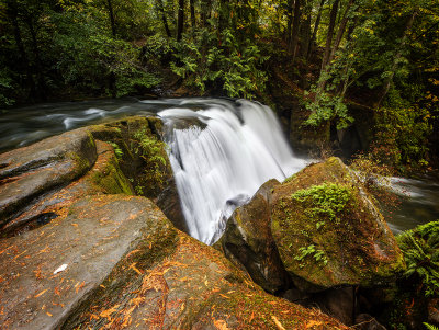 Whatcom Falls