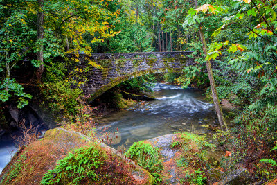 Whatcom Falls