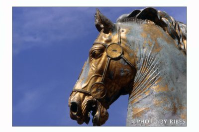 il Cavallo di Marc' Aurelio